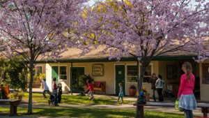 front entrance of Waldorf School of the Peninsula with kids running around out front among bloomed lilac trees