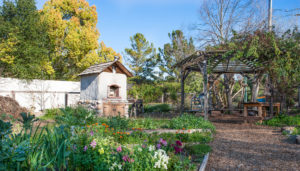 waldorf school campus exterior gardens