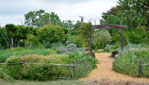 waldorf school mountain view campus gardens