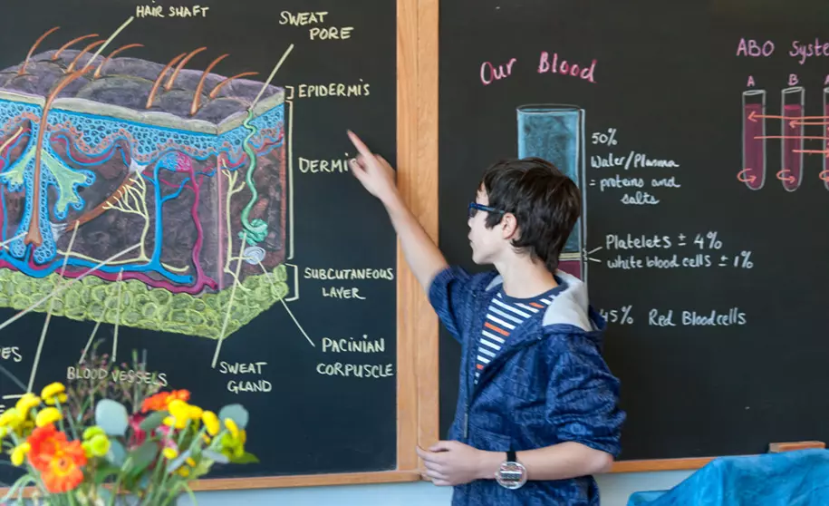 Grades 1 - 5 Tour & Introduction to Waldorf Education - Waldorf School of  the Peninsula