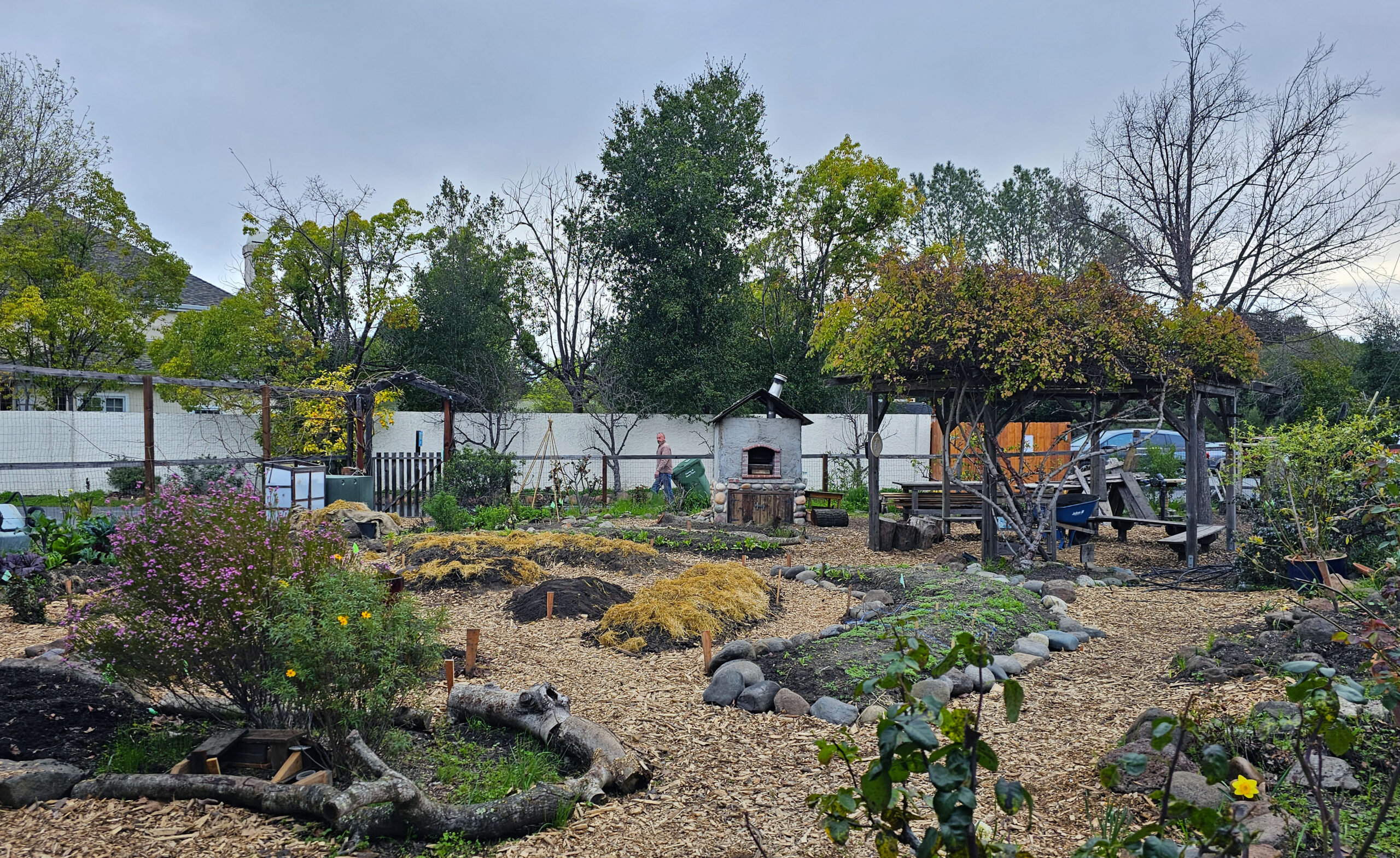 Cultivating Community: The Transformation of Our Los Altos Campus Garden