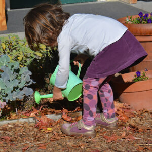 a young child waters plants with a watering can